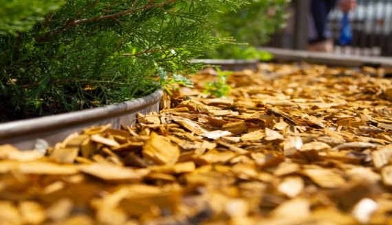 Wood Chips